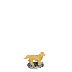 Luville - Golden Retriever