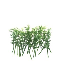 Bamboe - 6 cm - 10 Stengels