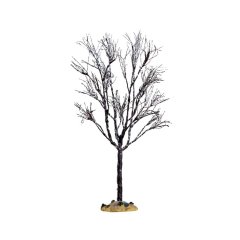 Butternot Tree Large