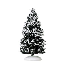 Evergreen Tree Medium