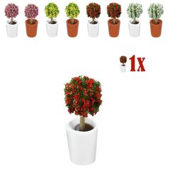 Mini Bolstruik Rode Bloempjes in Wit Bloempotje - 2.3cm