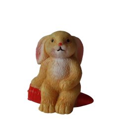 Miniatuur Hangoorkonijn op Wortel