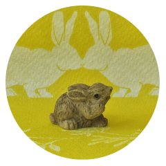 Miniatuur Konijn Bruin Poot