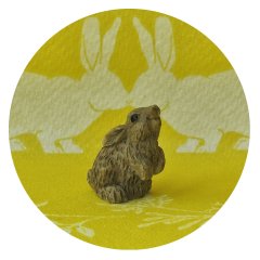 Miniatuur Konijn Bruin Staand