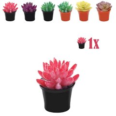 Miniatuur Vetplantje Roze in Bloempot - 2.2 cm
