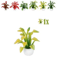 Miniatuurplantje Puntblad Geel Groen - 2.8 cm