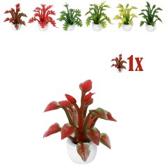 Miniatuurplantje Puntblad Rood / Groen - 2.8 cm