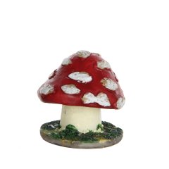 Paddestoel
