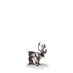 Reindeers