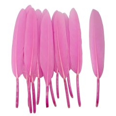 Roze Penveren - 24 Stuks