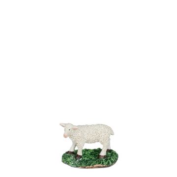 Luville - Sheep