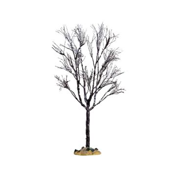 Butternot Tree Large