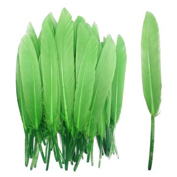 Groene Penveren - 24 Stuks