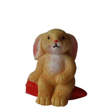 Miniatuur Hangoorkonijn op Wortel