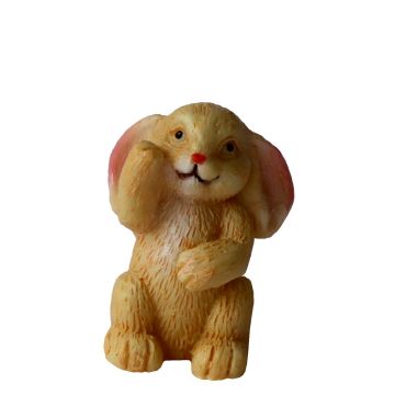 Miniatuur Hangoorkonijn