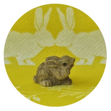 Miniatuur Konijn Bruin Poot