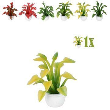 Miniatuurplantje Puntblad Geel Groen - 2.8 cm