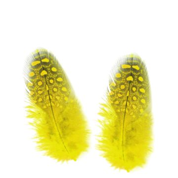 Parelhoen Veren Geel - 6 / 8 cm - 24 Stuks