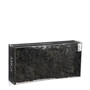 Zwart Rendiermos - Doos 500gr - Mica Decorations